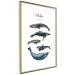 Wall Poster Whales - marine animals with Latin inscriptions on a white background 126867 additionalThumb 7