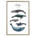 Wall Poster Whales - marine animals with Latin inscriptions on a white background 126867 additionalThumb 21