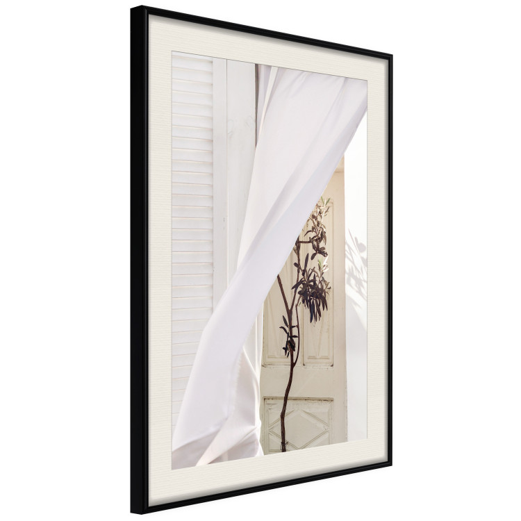Wall Poster Mystery of the Wind - composition with plant against white architecture 129467 additionalImage 2