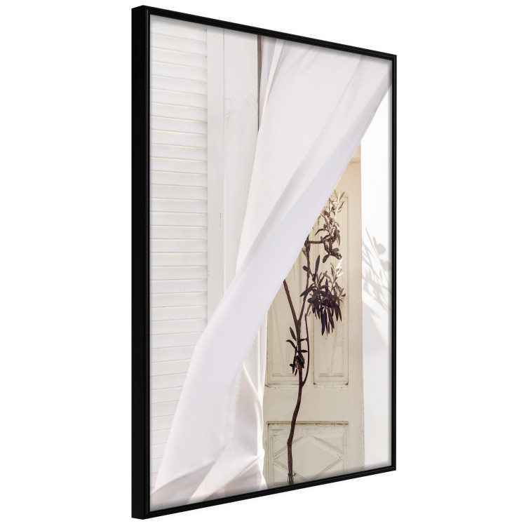 Wall Poster Mystery of the Wind - composition with plant against white architecture 129467 additionalImage 13