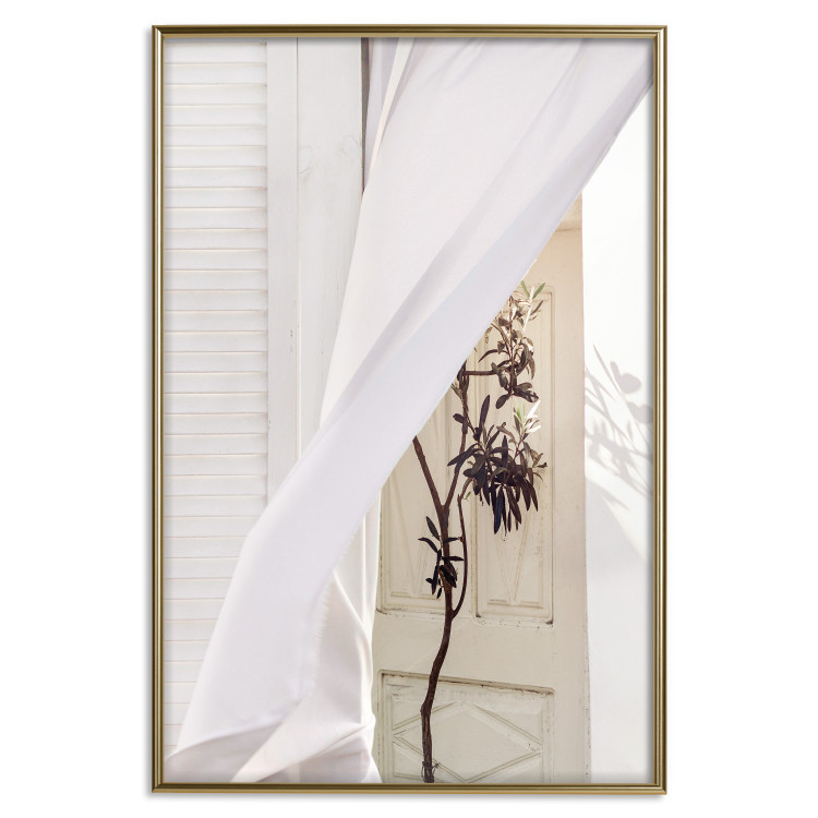 Wall Poster Mystery of the Wind - composition with plant against white architecture 129467 additionalImage 21
