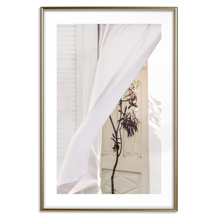 Wall Poster Mystery of the Wind - composition with plant against white architecture 129467 additionalImage 16