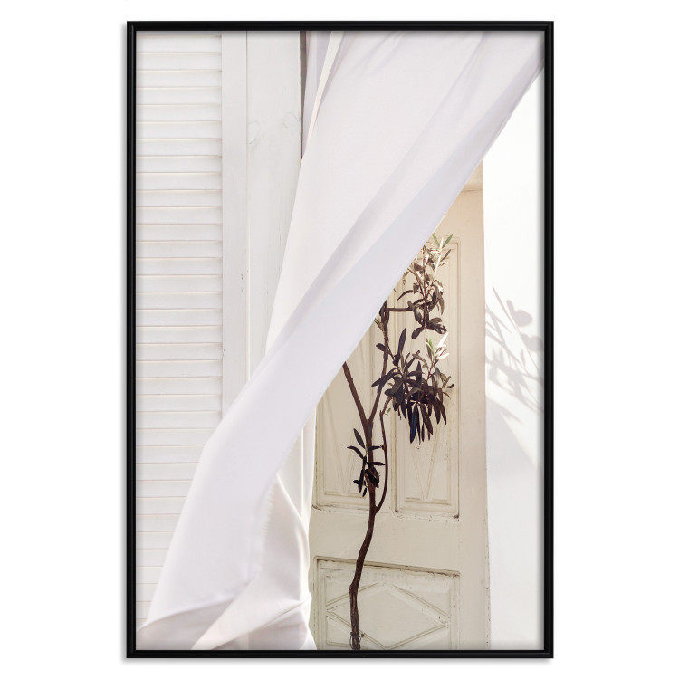 Wall Poster Mystery of the Wind - composition with plant against white architecture 129467 additionalImage 16
