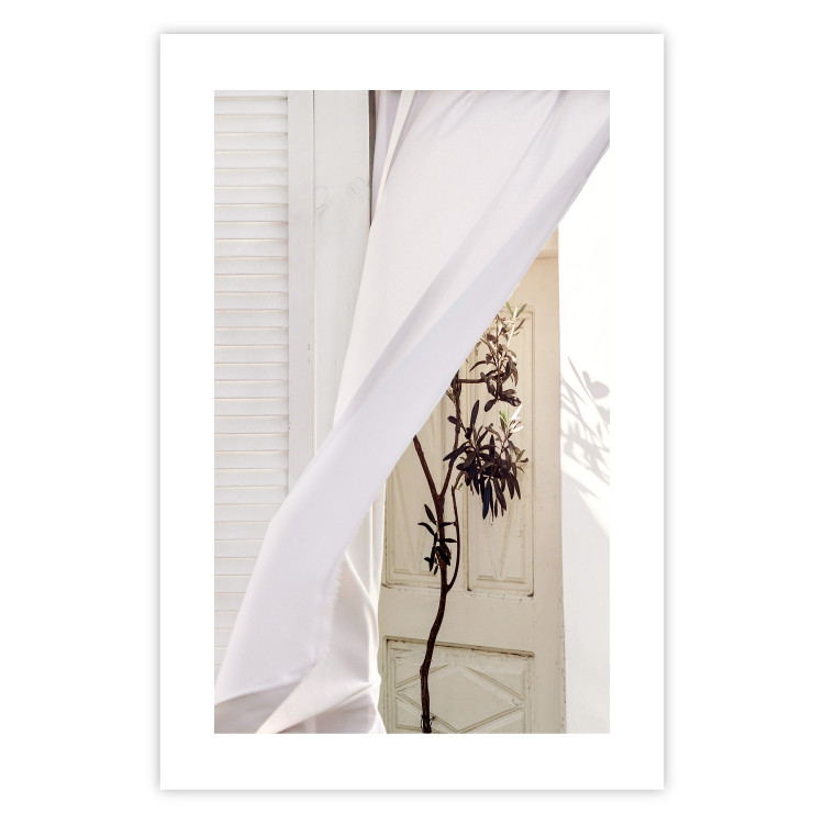Wall Poster Mystery of the Wind - composition with plant against white architecture 129467 additionalImage 19