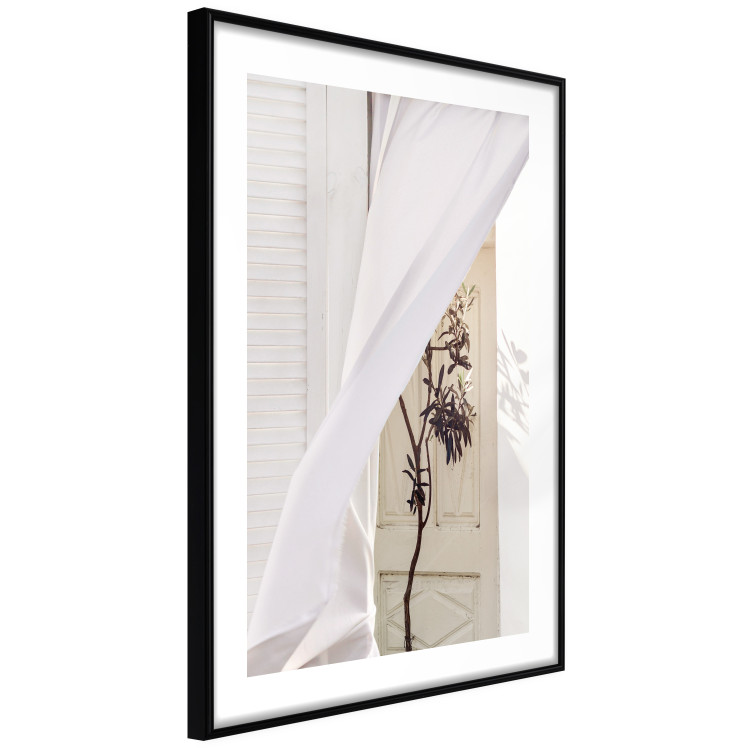 Wall Poster Mystery of the Wind - composition with plant against white architecture 129467 additionalImage 8