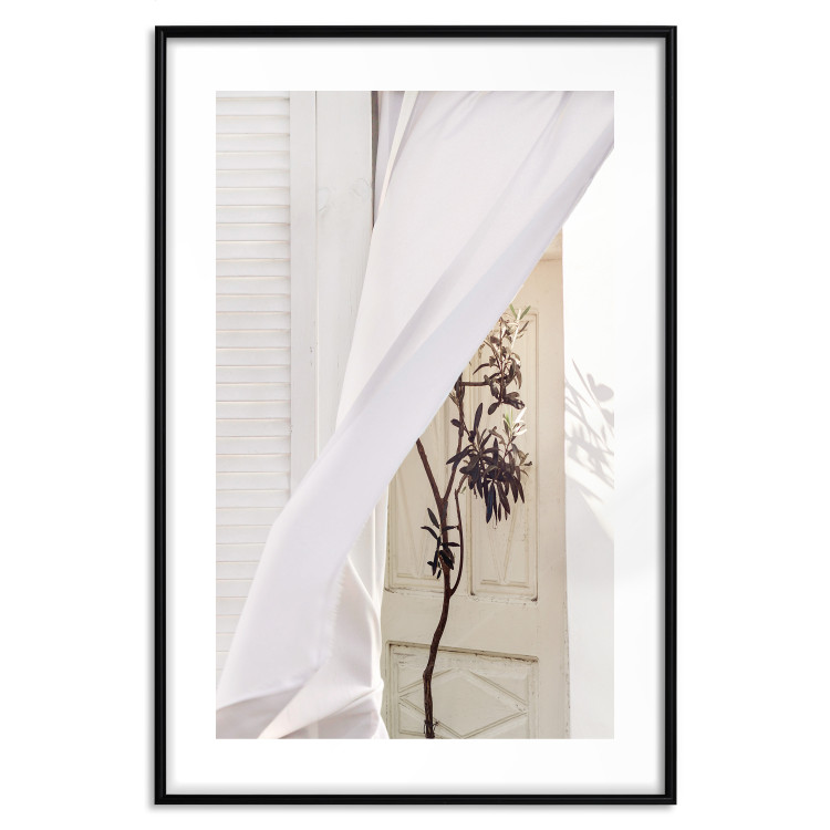 Wall Poster Mystery of the Wind - composition with plant against white architecture 129467 additionalImage 15