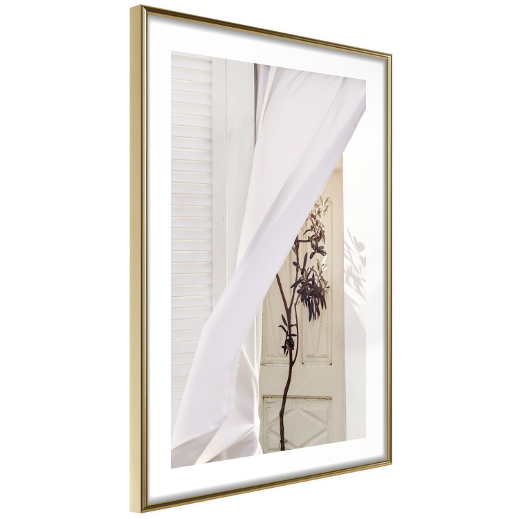 Wall Poster Mystery of the Wind - composition with plant against white architecture 129467 additionalImage 9