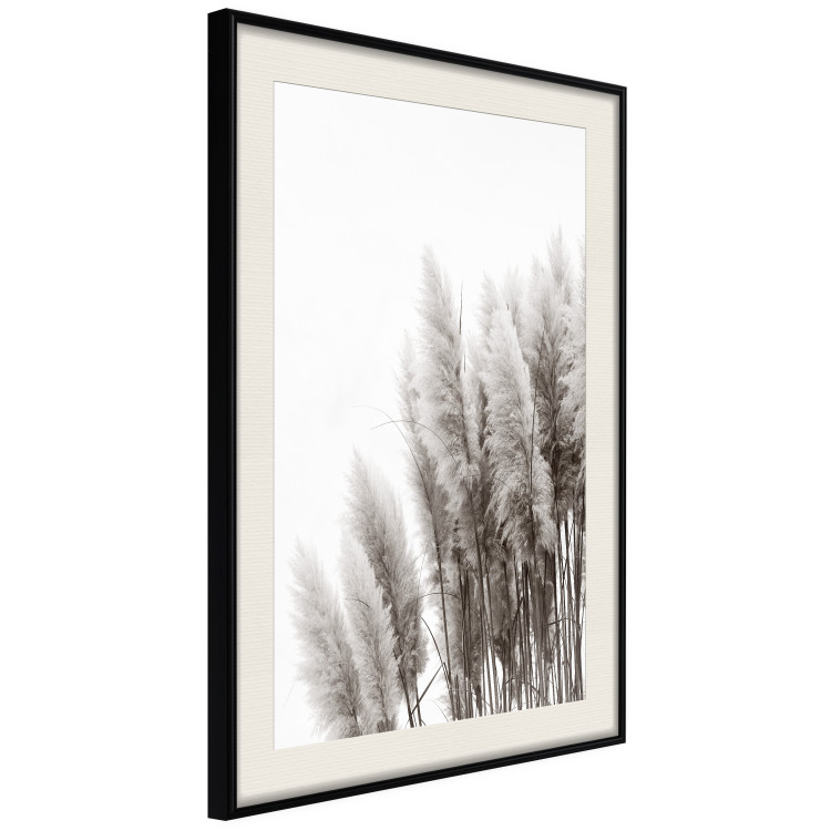 Poster Waiting for the Wind - monochromatic landscape of plants on a white background 130267 additionalImage 2