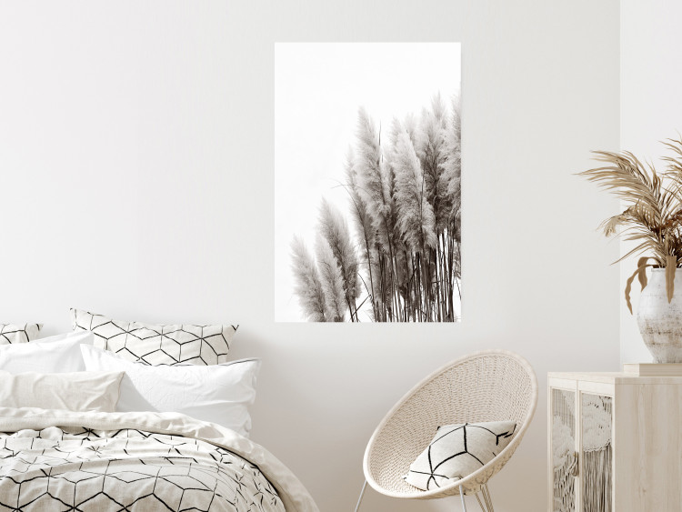 Poster Waiting for the Wind - monochromatic landscape of plants on a white background 130267 additionalImage 2