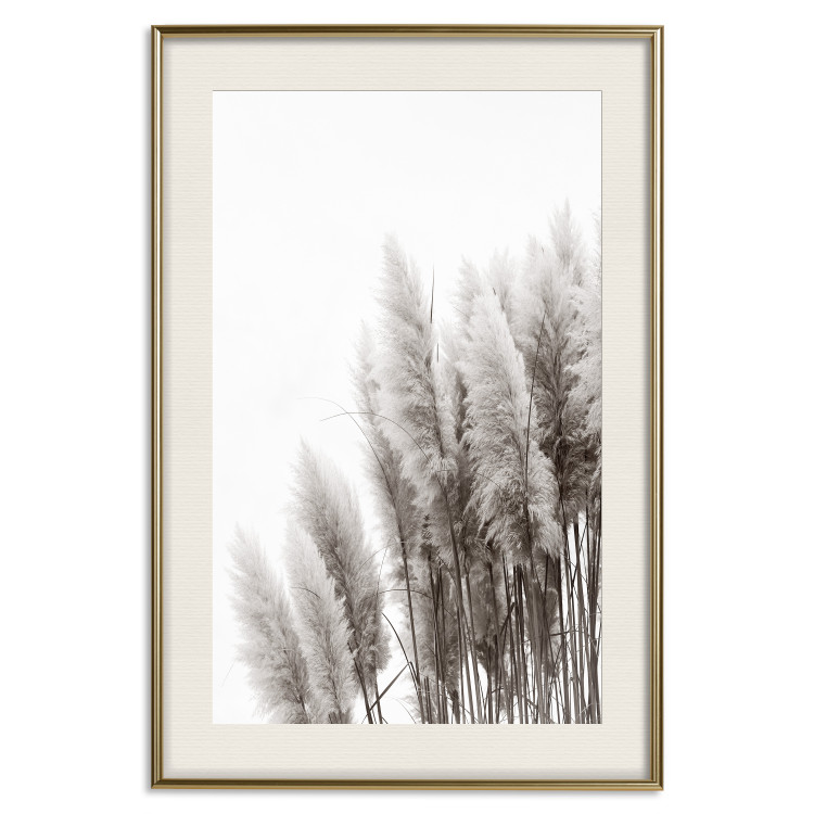 Poster Waiting for the Wind - monochromatic landscape of plants on a white background 130267 additionalImage 20