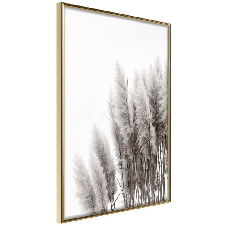 Poster Waiting for the Wind - monochromatic landscape of plants on a white background 130267 additionalImage 14