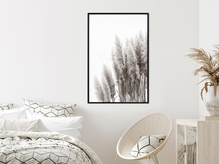 Poster Waiting for the Wind - monochromatic landscape of plants on a white background 130267 additionalImage 6