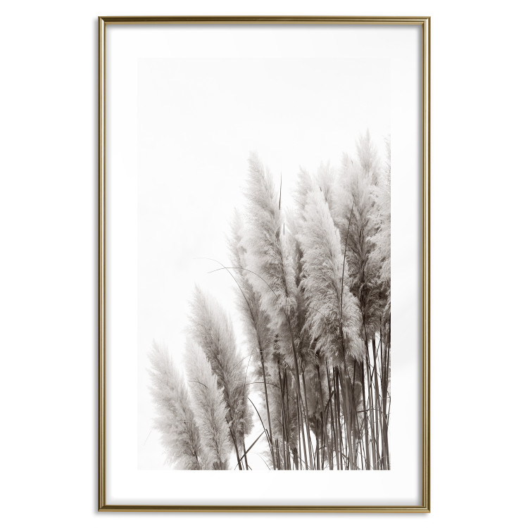 Poster Waiting for the Wind - monochromatic landscape of plants on a white background 130267 additionalImage 16