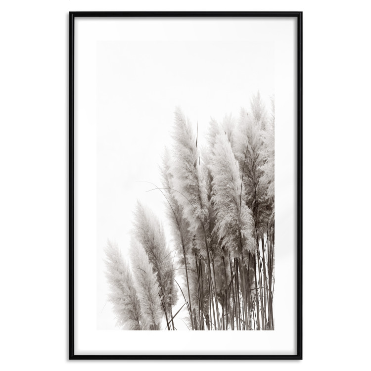 Poster Waiting for the Wind - monochromatic landscape of plants on a white background 130267 additionalImage 15