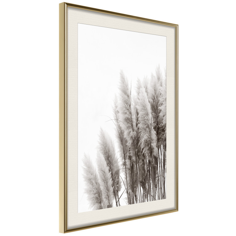 Poster Waiting for the Wind - monochromatic landscape of plants on a white background 130267 additionalImage 3
