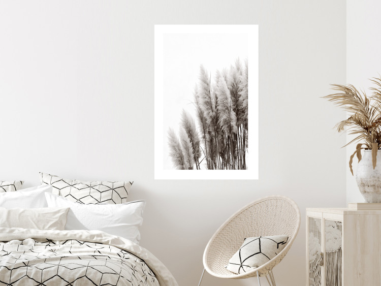 Poster Waiting for the Wind - monochromatic landscape of plants on a white background 130267 additionalImage 3