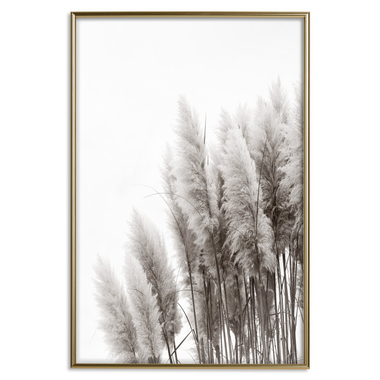 Poster Waiting for the Wind - monochromatic landscape of plants on a white background 130267 additionalImage 21