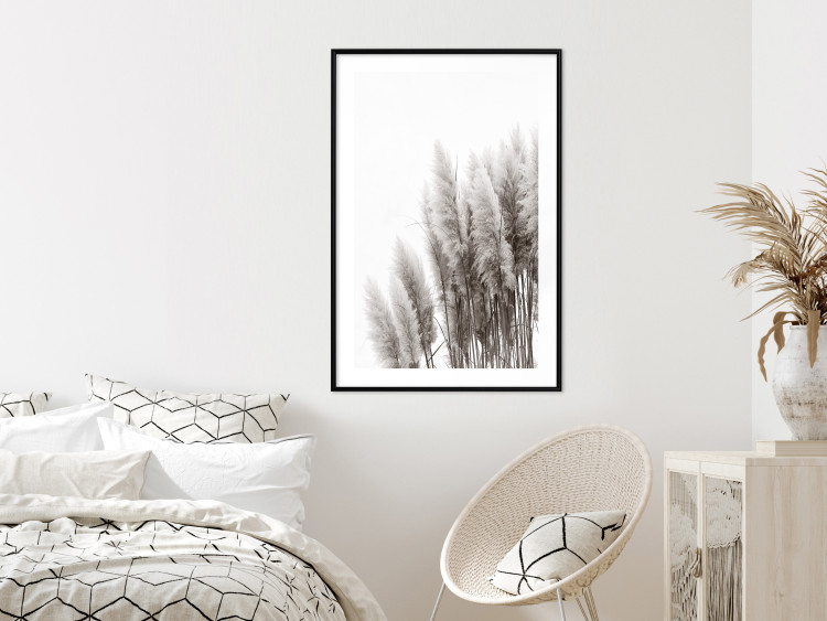 Poster Waiting for the Wind - monochromatic landscape of plants on a white background 130267 additionalImage 23