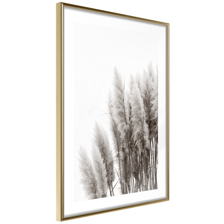 Poster Waiting for the Wind - monochromatic landscape of plants on a white background 130267 additionalImage 9