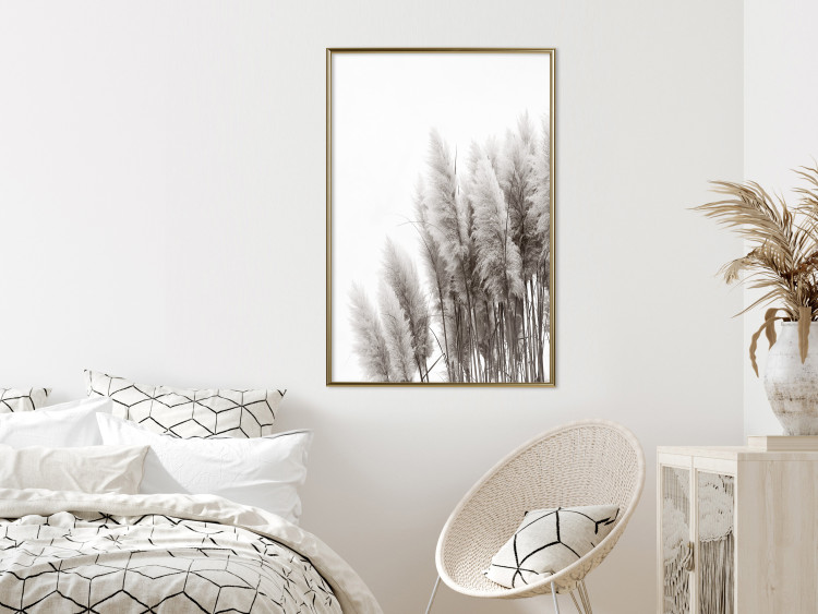 Poster Waiting for the Wind - monochromatic landscape of plants on a white background 130267 additionalImage 5