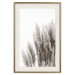 Poster Waiting for the Wind - monochromatic landscape of plants on a white background 130267 additionalThumb 20