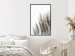 Poster Waiting for the Wind - monochromatic landscape of plants on a white background 130267 additionalThumb 4