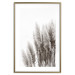 Poster Waiting for the Wind - monochromatic landscape of plants on a white background 130267 additionalThumb 14