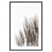 Poster Waiting for the Wind - monochromatic landscape of plants on a white background 130267 additionalThumb 15