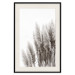 Poster Waiting for the Wind - monochromatic landscape of plants on a white background 130267 additionalThumb 19