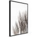 Poster Waiting for the Wind - monochromatic landscape of plants on a white background 130267 additionalThumb 11