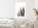 Poster Waiting for the Wind - monochromatic landscape of plants on a white background 130267 additionalThumb 5
