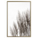 Poster Waiting for the Wind - monochromatic landscape of plants on a white background 130267 additionalThumb 17