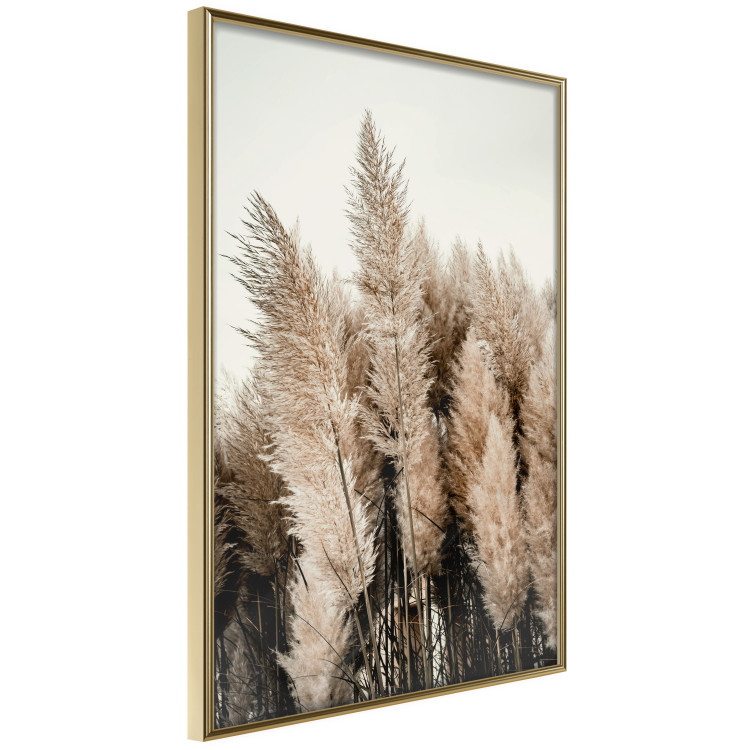 Wall Poster Plume of Dreams - golden autumn trees on a uniform light background 130467 additionalImage 14