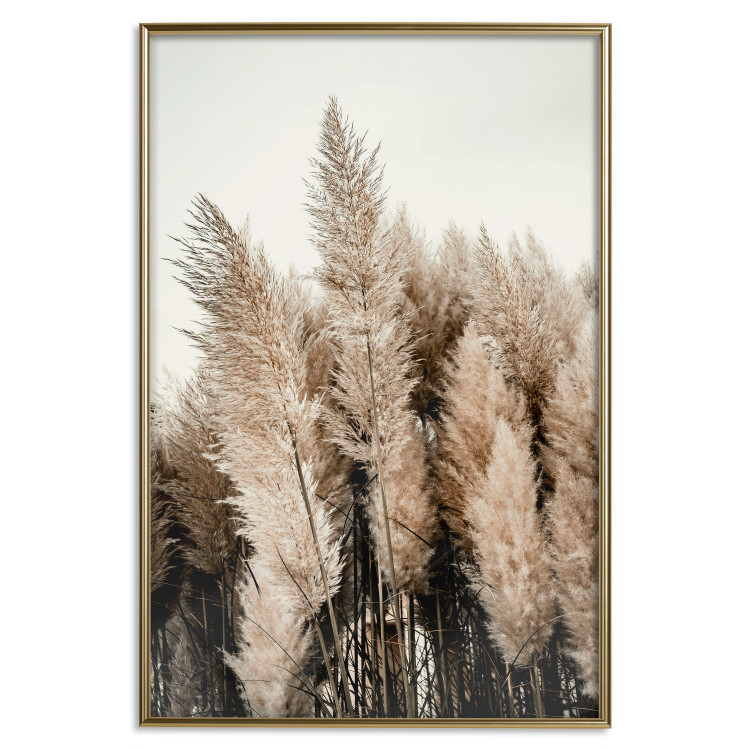 Wall Poster Plume of Dreams - golden autumn trees on a uniform light background 130467 additionalImage 17