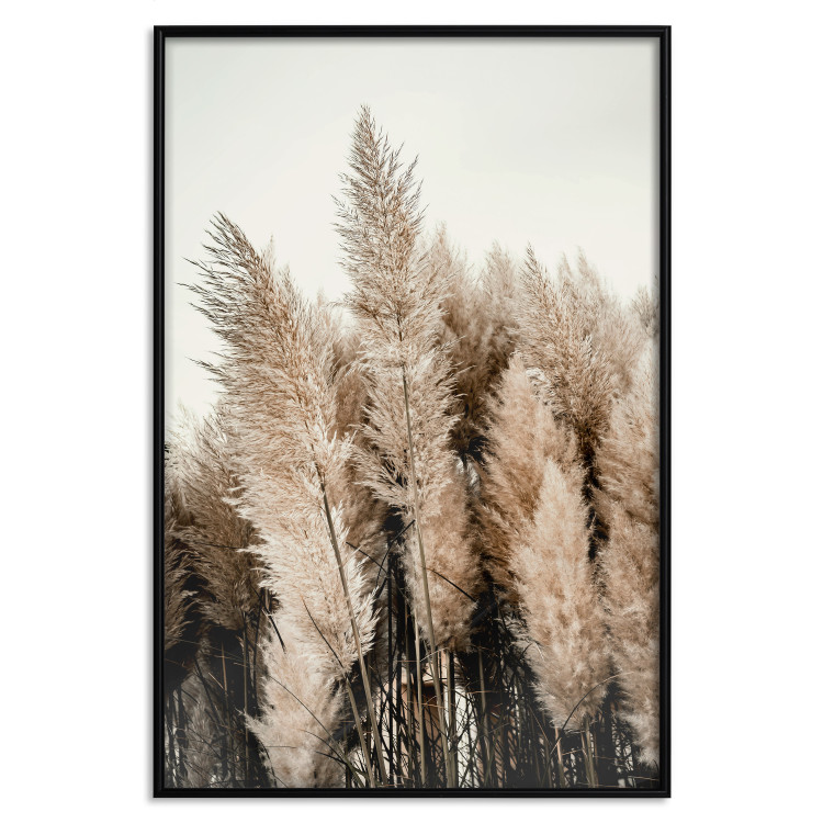 Wall Poster Plume of Dreams - golden autumn trees on a uniform light background 130467 additionalImage 16