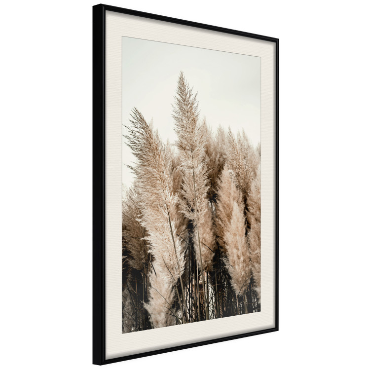Wall Poster Plume of Dreams - golden autumn trees on a uniform light background 130467 additionalImage 2
