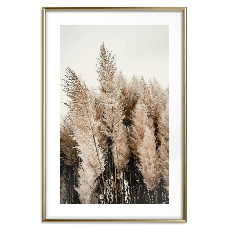 Wall Poster Plume of Dreams - golden autumn trees on a uniform light background 130467 additionalImage 16