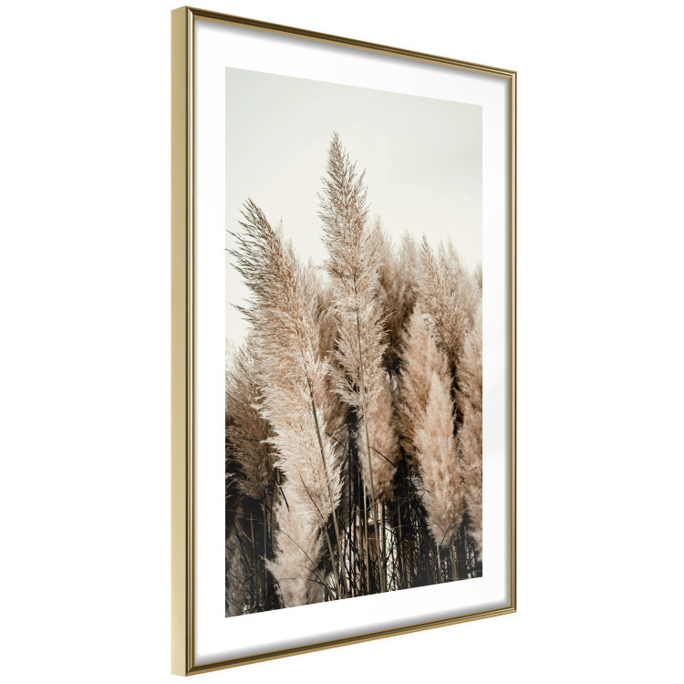 Wall Poster Plume of Dreams - golden autumn trees on a uniform light background 130467 additionalImage 7