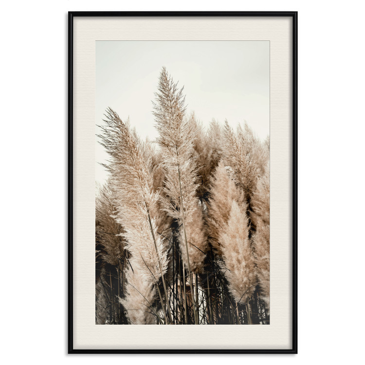 Wall Poster Plume of Dreams - golden autumn trees on a uniform light background 130467 additionalImage 19