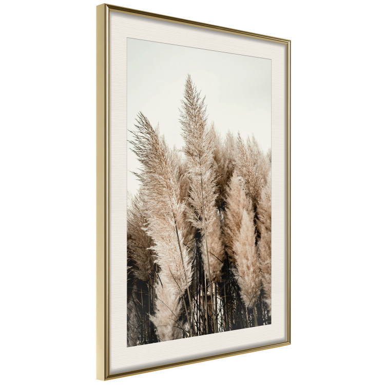 Wall Poster Plume of Dreams - golden autumn trees on a uniform light background 130467 additionalImage 3