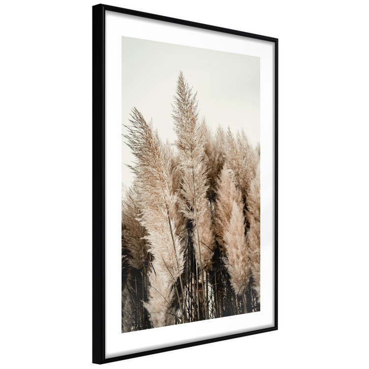 Wall Poster Plume of Dreams - golden autumn trees on a uniform light background 130467 additionalImage 6