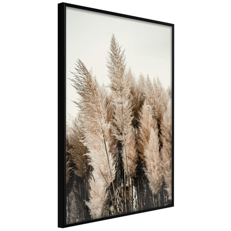 Wall Poster Plume of Dreams - golden autumn trees on a uniform light background 130467 additionalImage 13