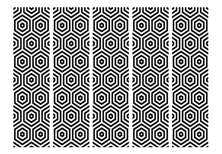 Room Separator Black and White Hypnosis II (5-piece) - composition in geometric pattern 133167 additionalImage 3