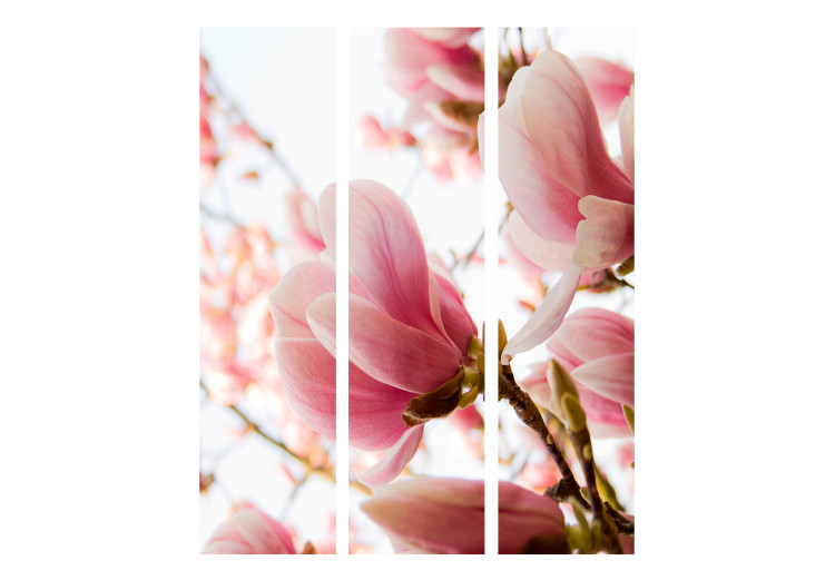 Room Divider Screen Pink Magnolia - plant with pink flowers against a bright sky 133967 additionalImage 3
