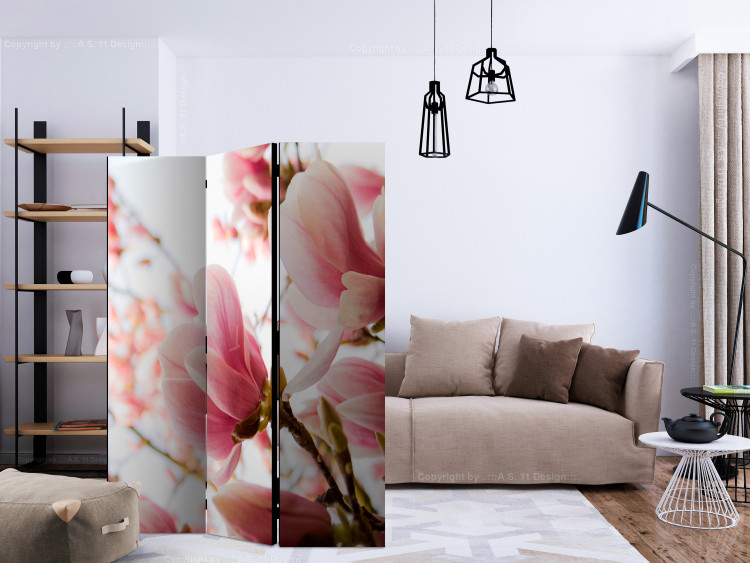 Room Divider Screen Pink Magnolia - plant with pink flowers against a bright sky 133967 additionalImage 4
