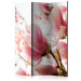Room Divider Screen Pink Magnolia - plant with pink flowers against a bright sky 133967