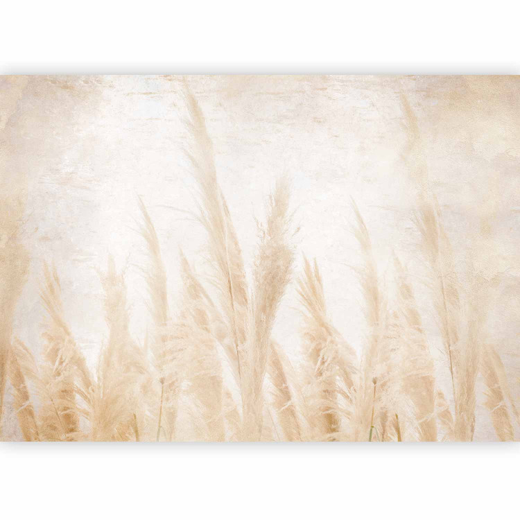 Photo Wallpaper Windy grasses - nature landscape with a delicate motif of a blowing field 143467 additionalImage 1