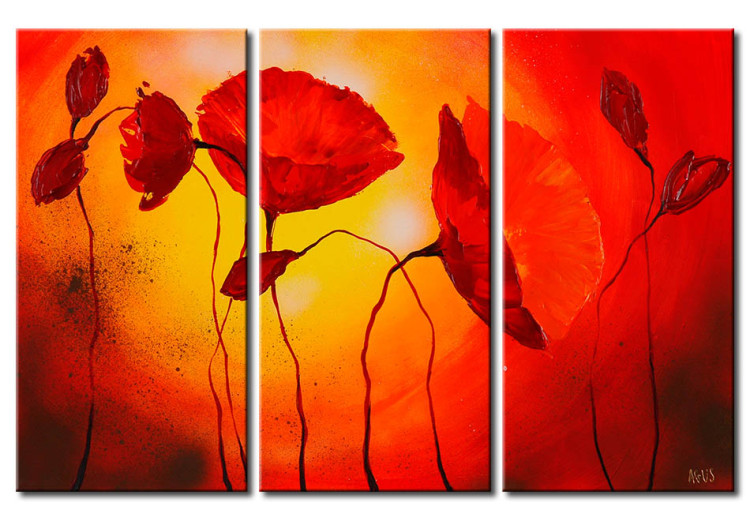 Canvas Print Poppies at the end of the day 47167