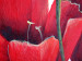 Canvas Joyful Tulips (1-piece) - Red flowers on a pastel background 48667 additionalThumb 2