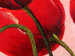 Canvas Joyful Tulips (1-piece) - Red flowers on a pastel background 48667 additionalThumb 3